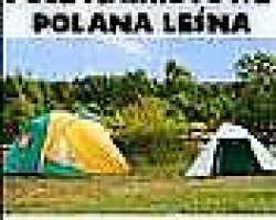 Camping i Pole namiotowe "Polana Leśna" 